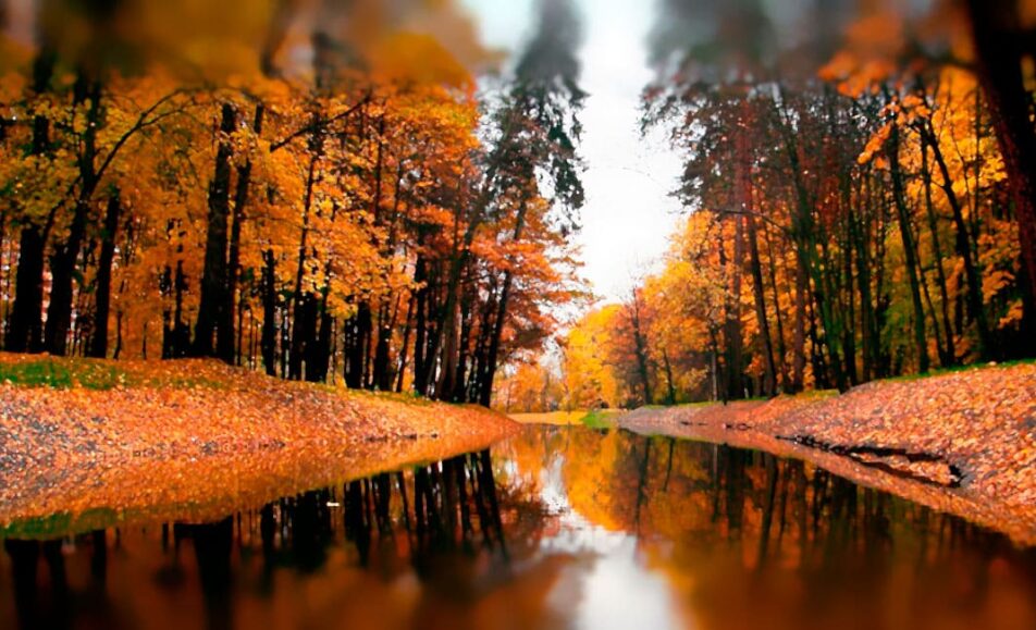 Профессорская сессия «Цифровые технологии в стоматологии» в рамках 54-й Всероссийской научно-практической конференции СтАР «Актуальные проблемы стоматологии»