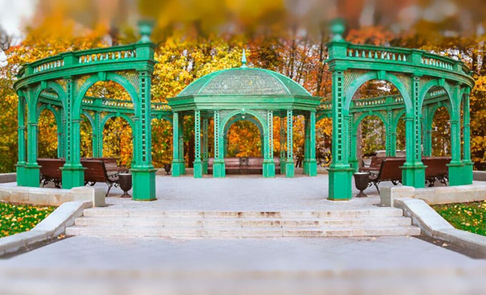 ХХ Общероссийская научно-практическая конференция Российского диализного общества