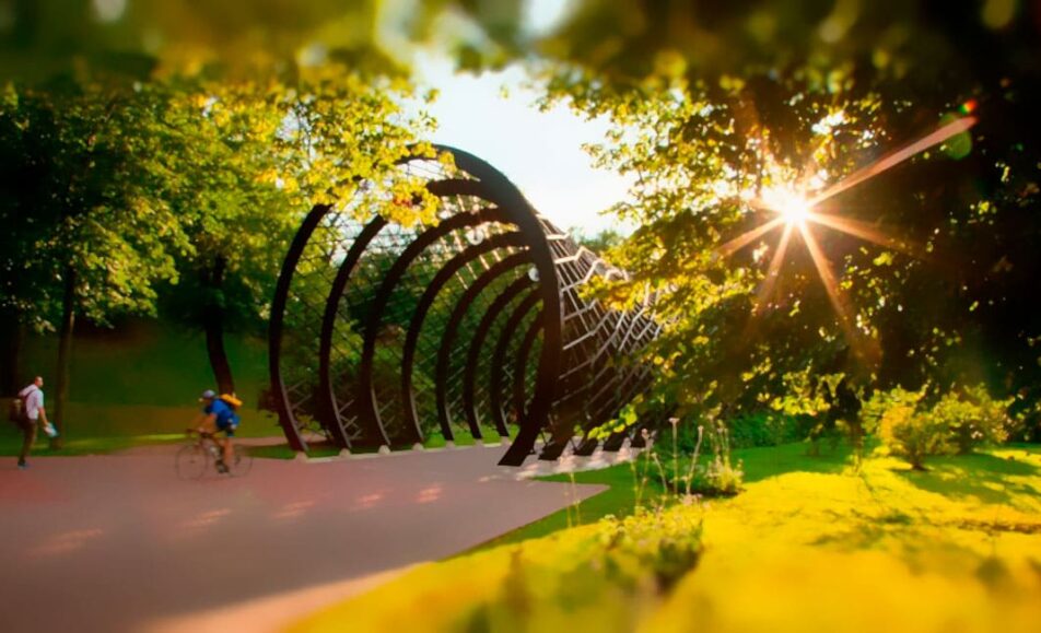 Вебинар «Когнитивные нарушения у детей и взрослых: сходство и различия»