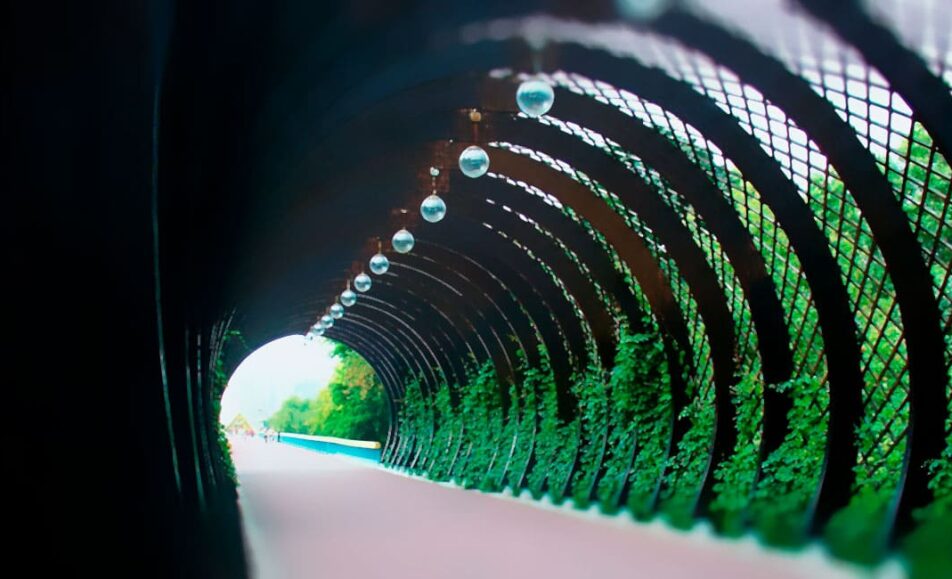 Ежемесячный образовательный семинар «Актуальные вопросы диагностики и лечения болезней уха