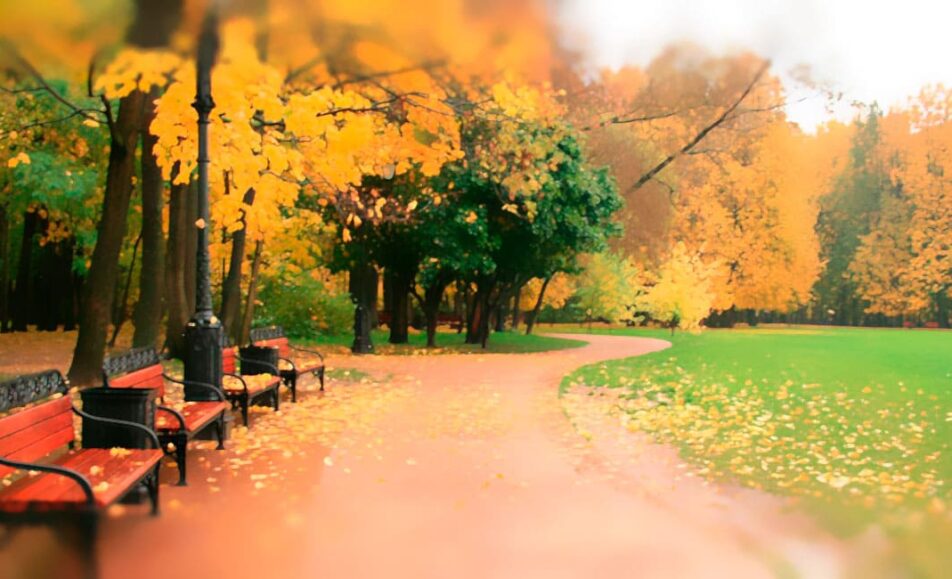 Школа «Персонализированные диагностика