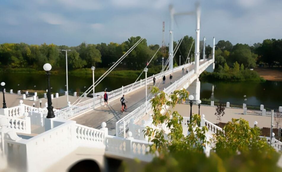 Научно-практическая онлайн школа детского врача «Степные огни»: «Болезни надпочечников у детей» (Клинический разбор больных)