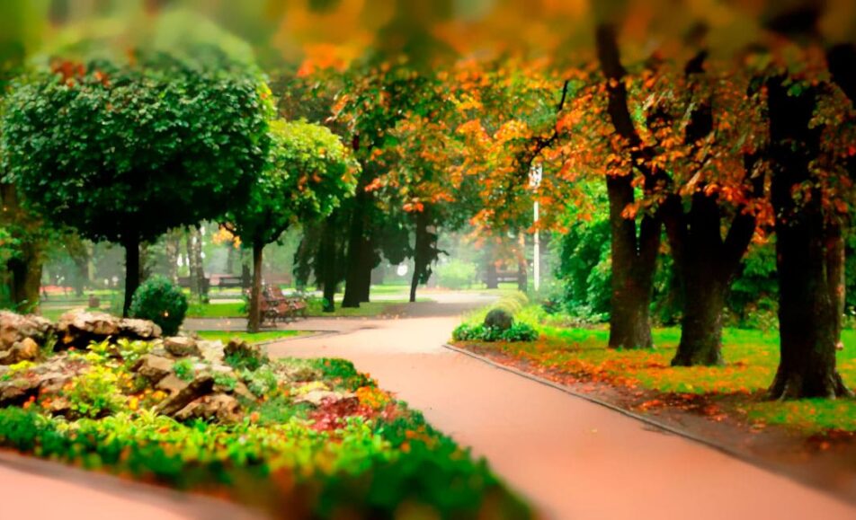 Научно-практическая конференция «Актуальные вопросы дерматологии»